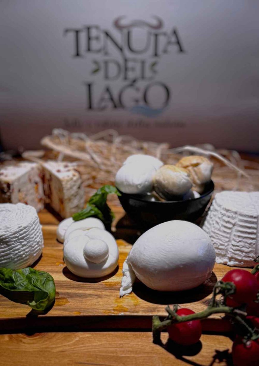Caiazzo, nasce Tenuta del Lago: filiera chiusa per la mozzarella di bufala DOP