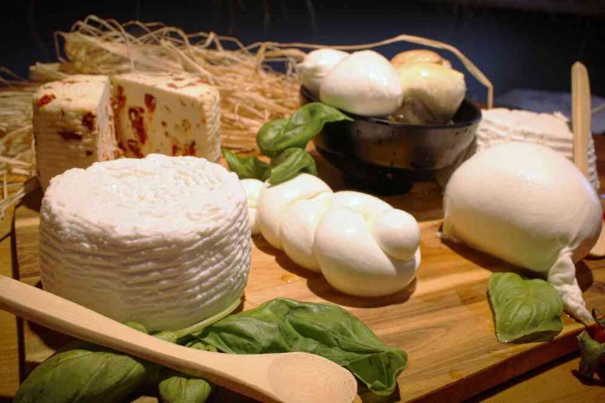 Caiazzo, nasce Tenuta del Lago: filiera chiusa per la mozzarella di bufala DOP