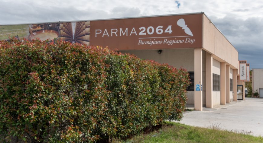 Visita guidata al Caseificio Parma2064 di Fidenza: alla scoperta del Parmigiano Reggiano