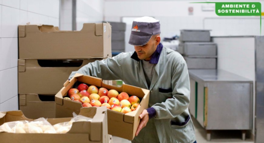 Milano Ristorazione presenta la Rendicontazione di Sostenibilità 2024