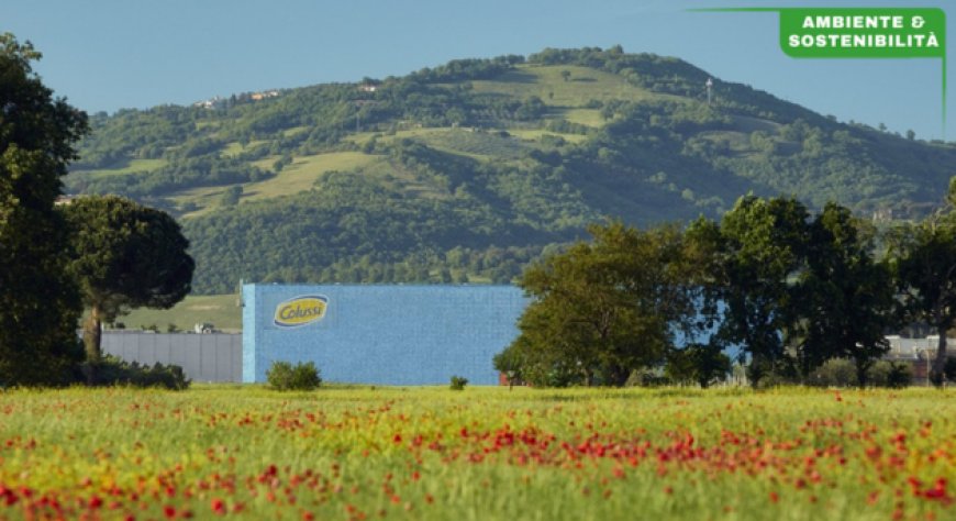 Gruppo Colussi presenta il Bilancio di Sostenibilità 2024