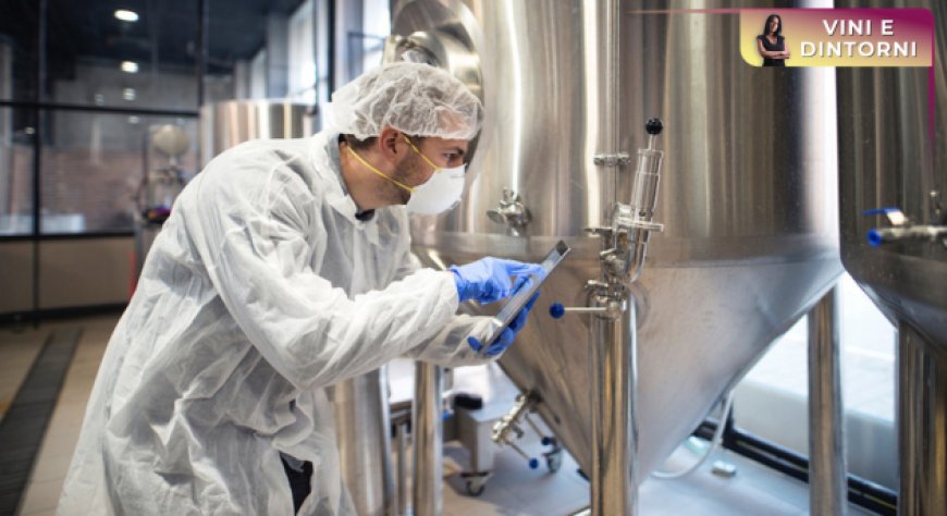 Microvinificazioni: uno studio della Penn State rivoluziona la ricerca enologica su piccola scala