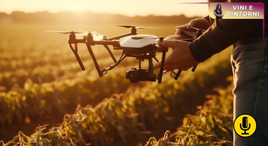 Dall’analisi fogliare ai sensori intelligenti: la rivoluzione digitale nella nutrizione del vigneto