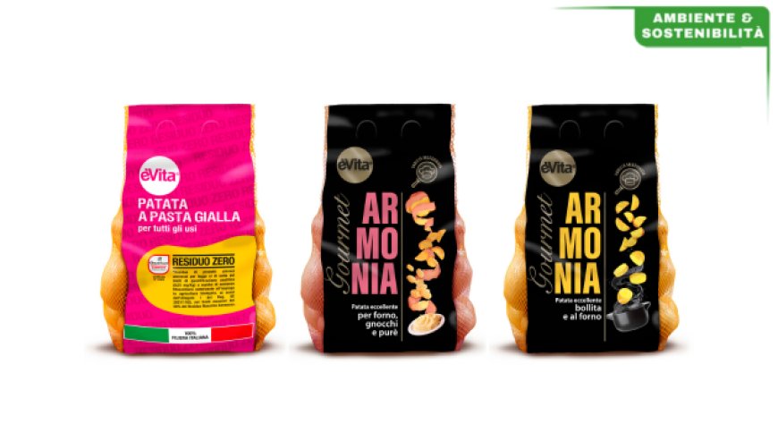 Sostenibilità in GDO secondo Romagnoli F.lli in relazione all'ultimo rapporto ESG