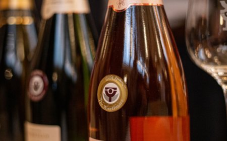 Online la Guida The WineHunter 2025: Italia unita nell'eccellenza enologica