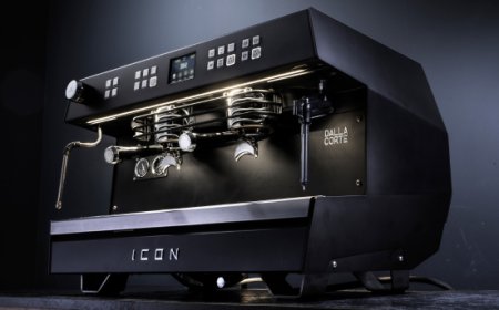 Steam Maestro: la rivoluzione automatica per la montatura del latte