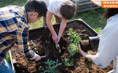 Economia circolare: 3 aziende agricole su 4 in Italia adottano pratiche sostenibili