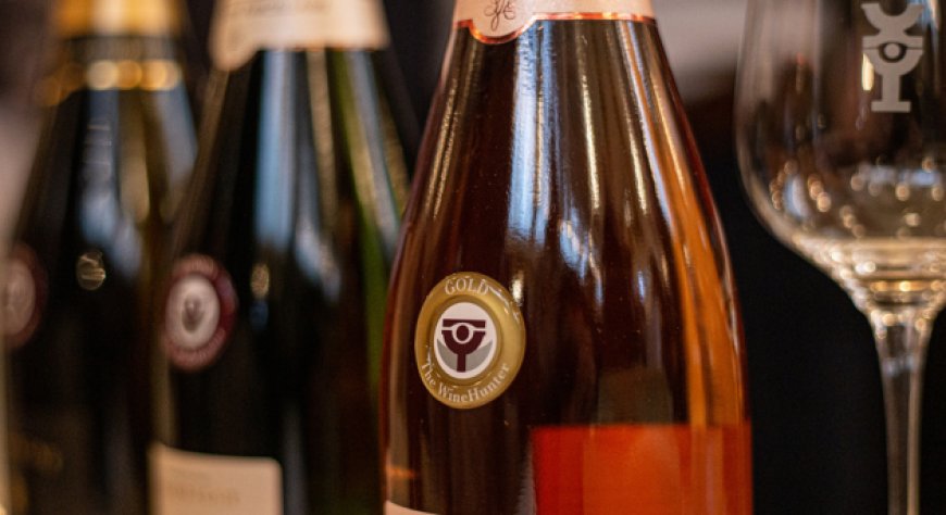 Online la Guida The WineHunter 2025: Italia unita nell'eccellenza enologica