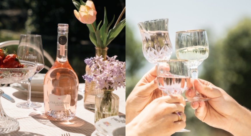I vini Fantini per l'estate tra freschezza e sapore