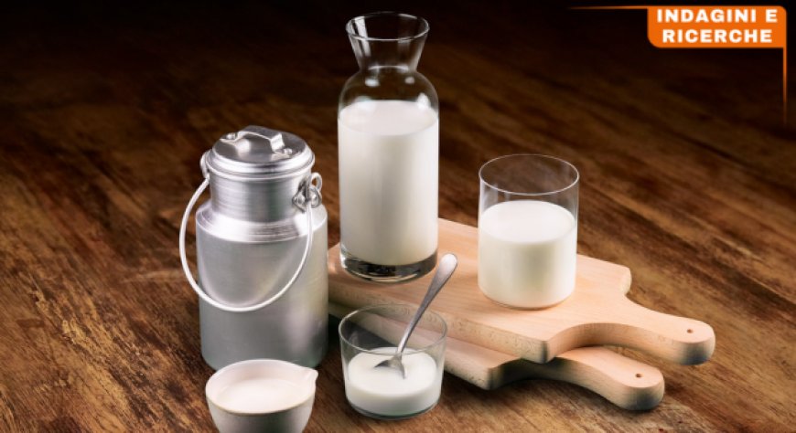 Latte batte formaggio nelle ricerche online: Sud Italia in testa per interesse