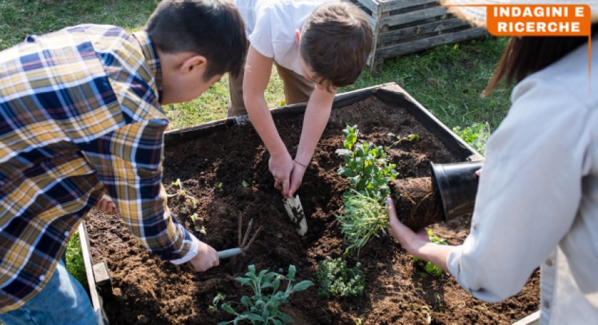 Economia circolare: 3 aziende agricole su 4 in Italia adottano pratiche sostenibili