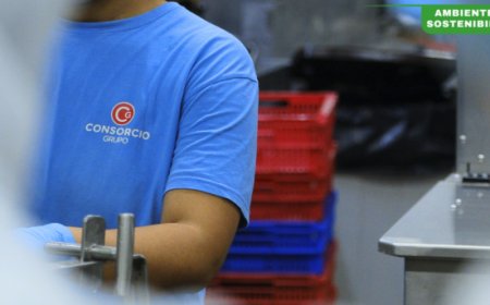 Bilancio di Sostenibilità 2024: Grupo Consorcio conferma la leadership nelle conserve sostenibili