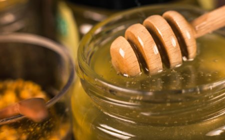 Contraffazione nel settore bio: l'allarme FederBio dopo il sequestro di miele irregolare a Verona