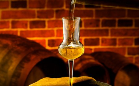 Assodistil: accordo UE con Mercosur e Messico ricco di potenzialità