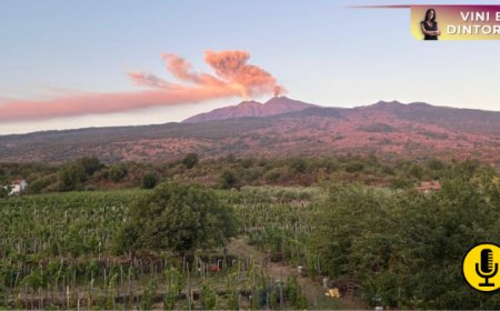 Vini vulcanici: il successo mondiale di un’identità irripetibile