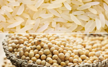 Novità dai principali mercati. Le pillole di Areté su Riso e Soia