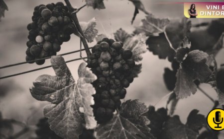 Dall’antica Mesopotamia la lezione di adattamento della vite al clima