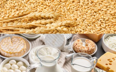 Mercati UE: trend ribassista per latte, energia stabile e frumento duro ai minimi