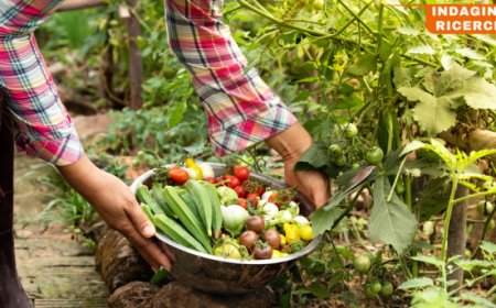 Crescita costante per il bio italiano: superati i 2,5 milioni di ettari