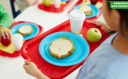 Giornata contro lo spreco alimentare. PlanEat sperimenta un modello virtuoso a scuola