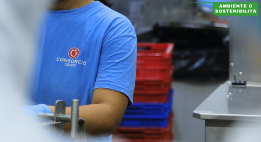 Bilancio di Sostenibilità 2024: Grupo Consorcio conferma la leadership nelle conserve sostenibili