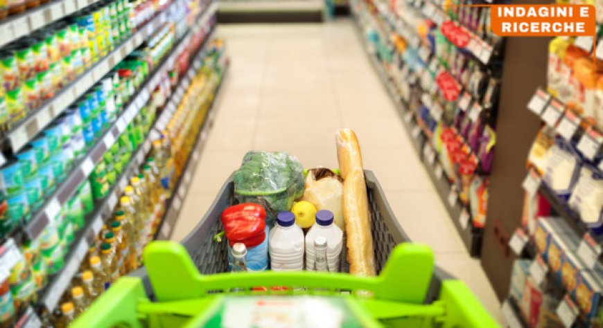 Indagine Altroconsumo: ecco quali sono le insegne della GDO più convenienti