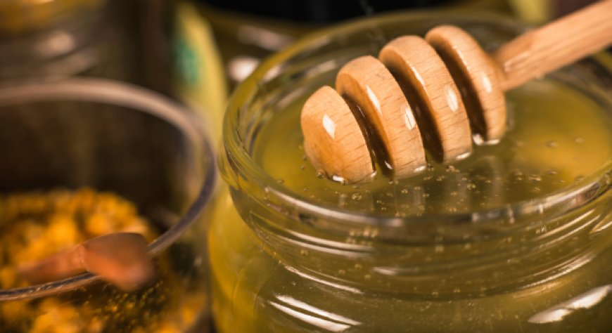 Contraffazione nel settore bio: l'allarme FederBio dopo il sequestro di miele irregolare a Verona