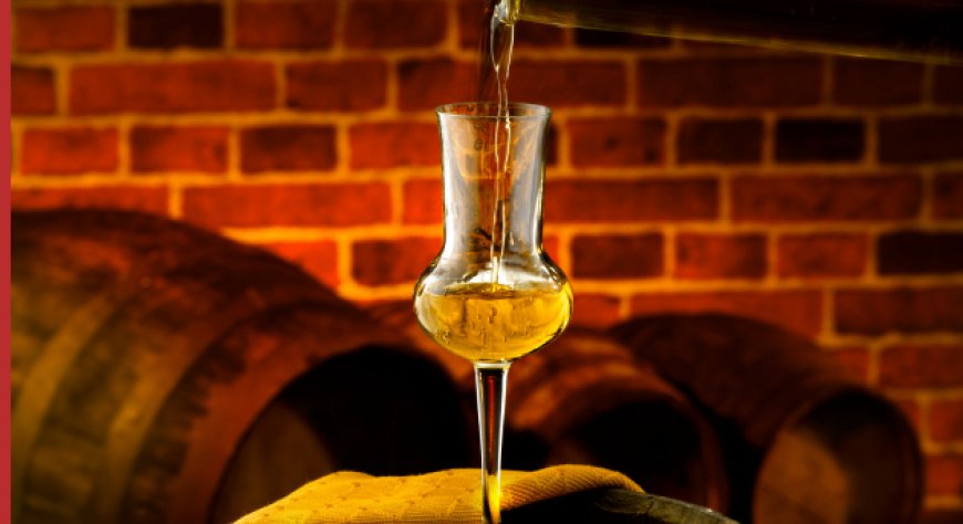 Assodistil: accordo UE con Mercosur e Messico ricco di potenzialità