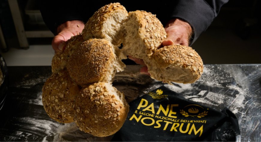 Senigallia capitale dell'arte bianca: ritorna Pane Nostrum