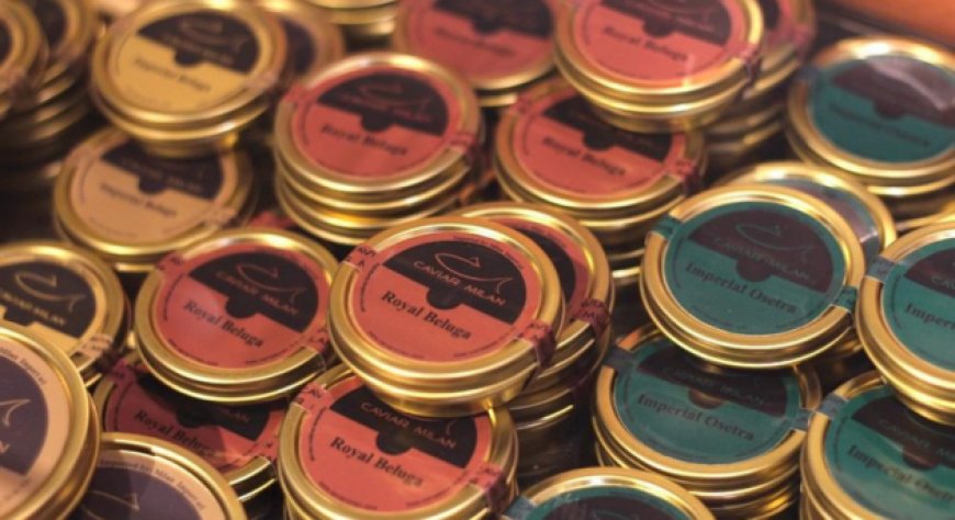 Caviar Milan apre il secondo punto vendita a Roma