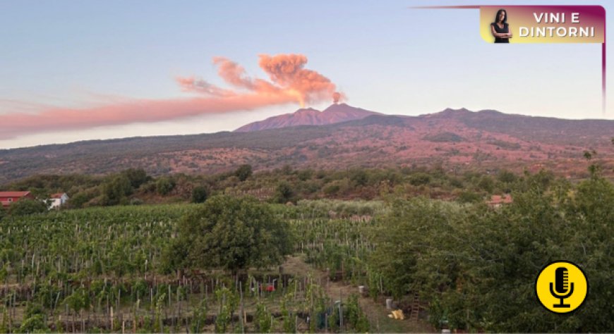 Vini vulcanici: il successo mondiale di un’identità irripetibile