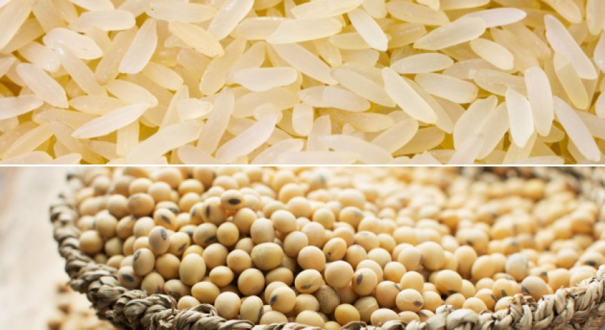 Novità dai principali mercati. Le pillole di Areté su Riso e Soia