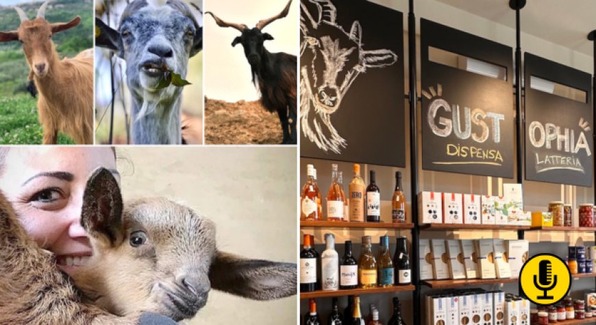 La rinascita della capra cilentana con Tenuta Principe Mazzacane 