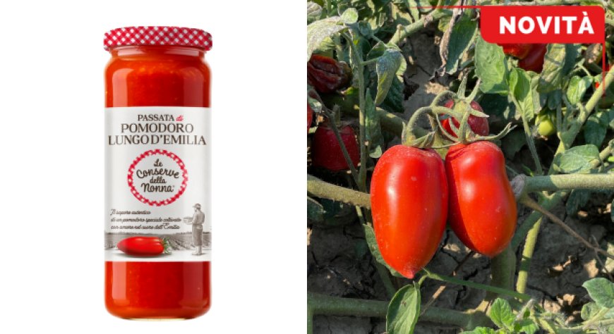 Filiera corta e gusto autentico: le Conserve della Nonna presenta il Pomodoro Lungo d'Emilia