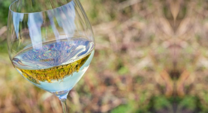 Torna Etna Days 2025, tra degustazioni, masterclass e ospiti internazionali