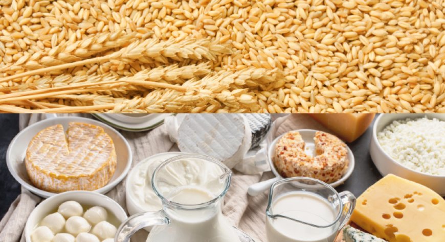 Mercati UE: trend ribassista per latte, energia stabile e frumento duro ai minimi