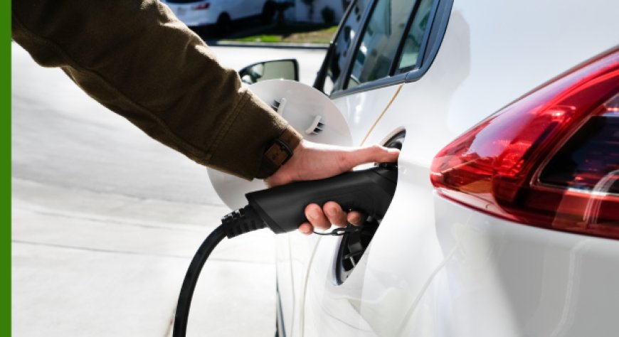 Nuove opportunità per le microimprese nella mobilità elettrica: ecco i dettagli degli incentivi