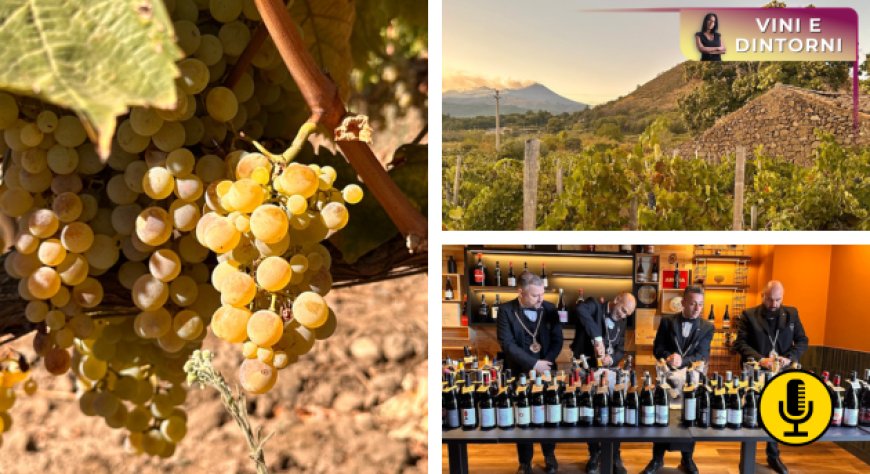 Etna Days 2025: alla scoperta dei vini del vulcano e del segreto del loro successo