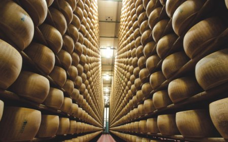 Export oltre il 53%: il Parmigiano Reggiano si racconta ad Anuga 2025