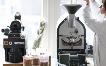 Caffè Vergnano debutta nel mercato del caffè funzionale con soluzioni innovative