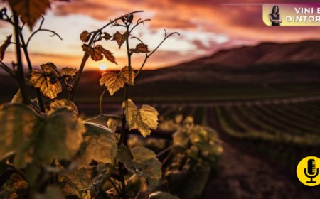 Crisi del vino in Europa: gli espianti sono davvero la soluzione?