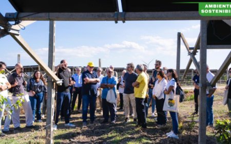 In Puglia il Convivio Agrivoltaico celebra il legame tra viticoltura e fotovoltaico