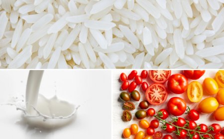 Crollano i prezzi di riso, latte e pomodoro: il punto sui mercati agrifood