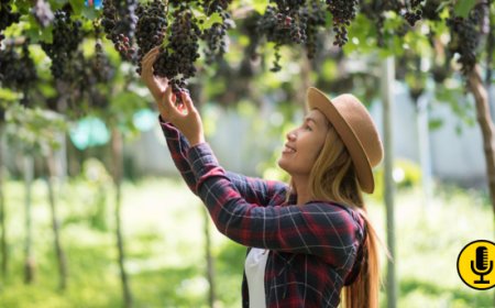 Turismo Made in Italy: l’alleanza Airbnb–Coldiretti per un nuovo enoturismo