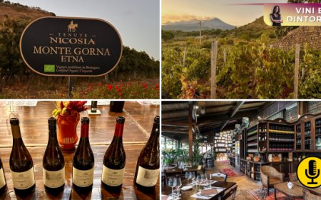 Cinque generazioni di Etna nel calice: la storia di Cantine Nicosia 