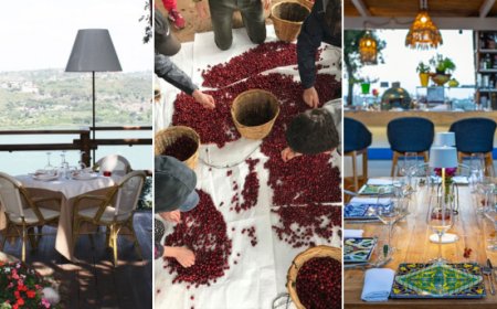 Dal chicco alla tazza: l'esperienza del terroir arriva nei Campi Flegrei