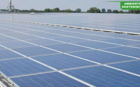 Surgital verso l'autonomia energetica: il 91% del fabbisogno coperto da fonti proprie