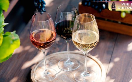 Avvertenze sanitarie in etichetta per gli alcolici: il Canada accelera, l’Europa teme l’effetto domino