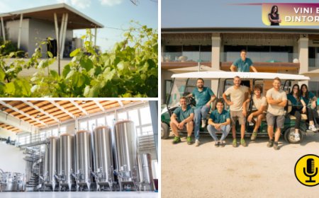 Cantina Ventiventi: il tempo come scelta, la terra come promessa