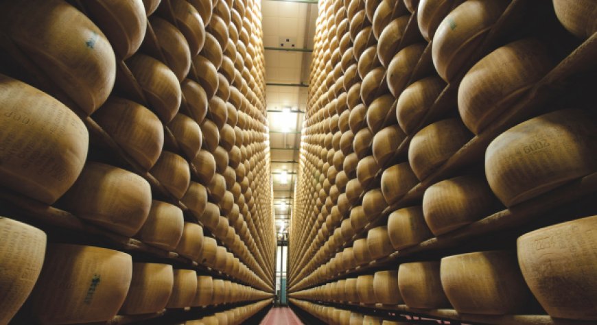 Export oltre il 53%: il Parmigiano Reggiano si racconta ad Anuga 2025